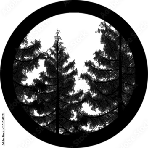 Gobos light Forest Trees 