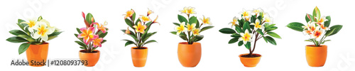 Vector image of a collection of ornamental plants in the yard