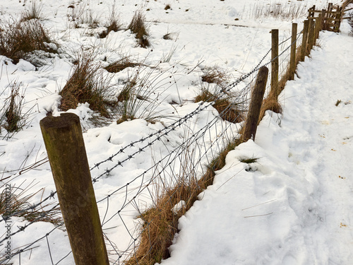 Snow-covered rural landscape with a barbed wire fence. photo