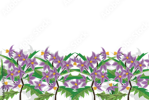 Background with Belladonna flowers, eggplants flowers, tomato flowers.