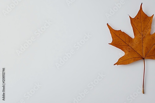 Autumn Maple Leaf in the Wind photo