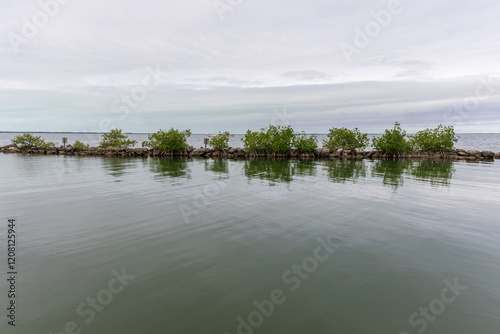 key Largo Florida January 20205 photo