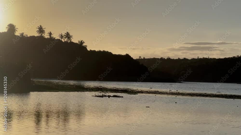 Entardecer no parque 