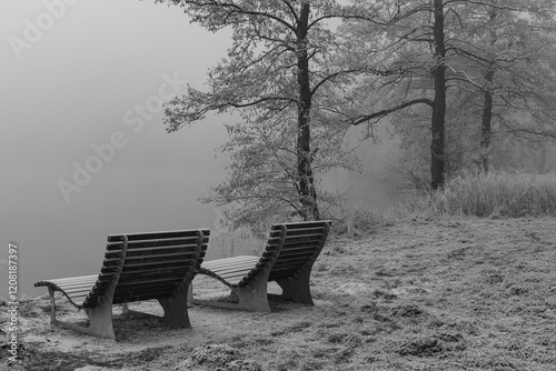 Frostiger wnter im Münsterland photo