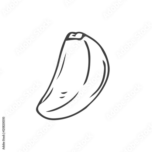 Garlic hand drawn vector illustration sketch. Isolated garlic, cloves