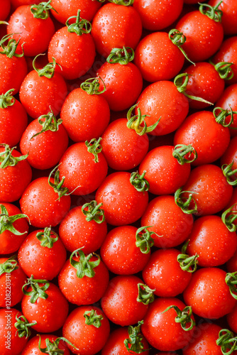 ripe juicy red tomatoes with leaves