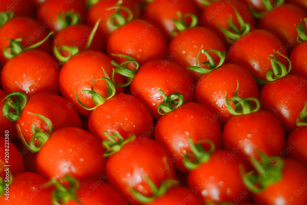 ripe juicy red tomatoes with leaves ripe juicy red tomatoes with leaves