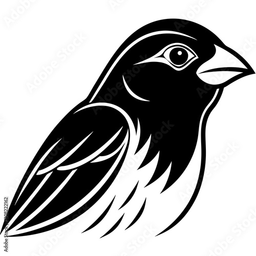 illustration of a bird photo