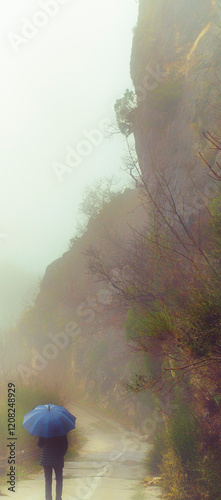 Fog and a woman with an umbrella. Vertical