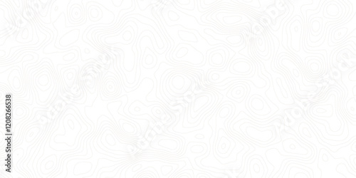 abstract topographic wave line black, white line map texture. geometric discovery mounted location counter grid map background.White wave paper curved reliefs abstract background. The topographic map.