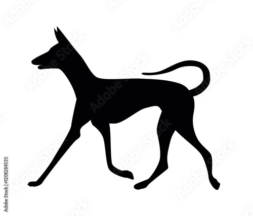 Silhouette of a running dog, Ibizan Hound breed