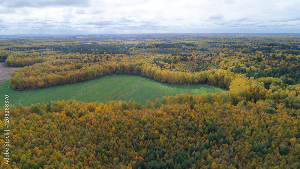 Obraz premium Large field of trees with a large green area in the middle