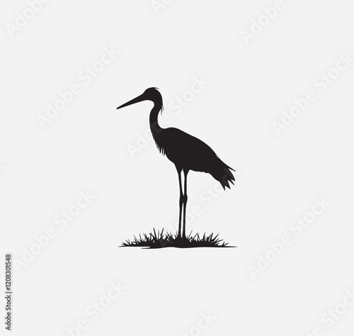 heron on the beach
