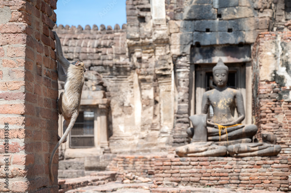 Monkey climbing a brick wall in Phra Prang Sam Yot, the famous Monkey Temple in Lopburi, Thailand, with a Buddha statue and ancient ruins in the background Monkey climbing a brick wall in Phra Prang Sam Yot, the famous Monkey Temple in Lopburi, Thailand, with a Buddha statue and ancient ruins in the background