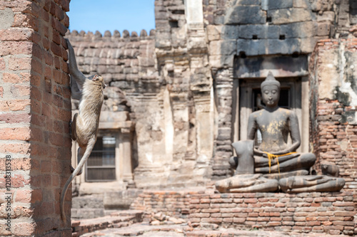 Monkey climbing a brick wall in Phra Prang Sam Yot, the famous Monkey Temple in Lopburi, Thailand, with a Buddha statue and ancient ruins in the background