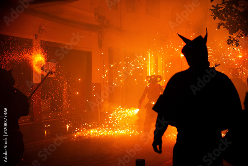 Festivity of San Antonio in Valencia Fire Show photo