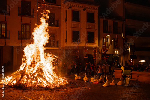 Festivity of San Antonio in Valencia Fire Show photo