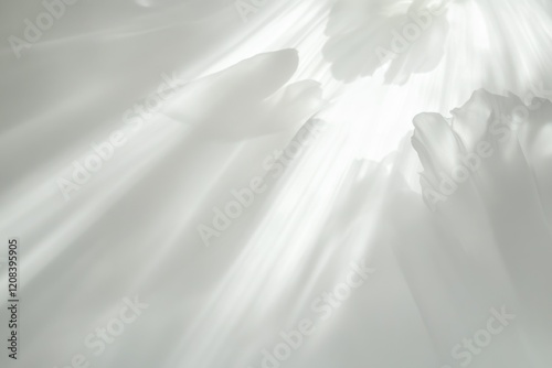 A group of people gathered around a single white flower, possibly for a ceremony or celebration