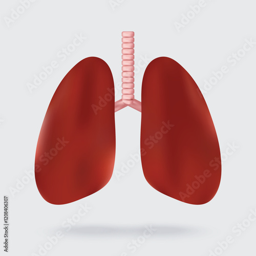 Human lungs, realistic anatomical model. Internal organs isolated on white background. 3D vector illustration for medical applications, educational sites