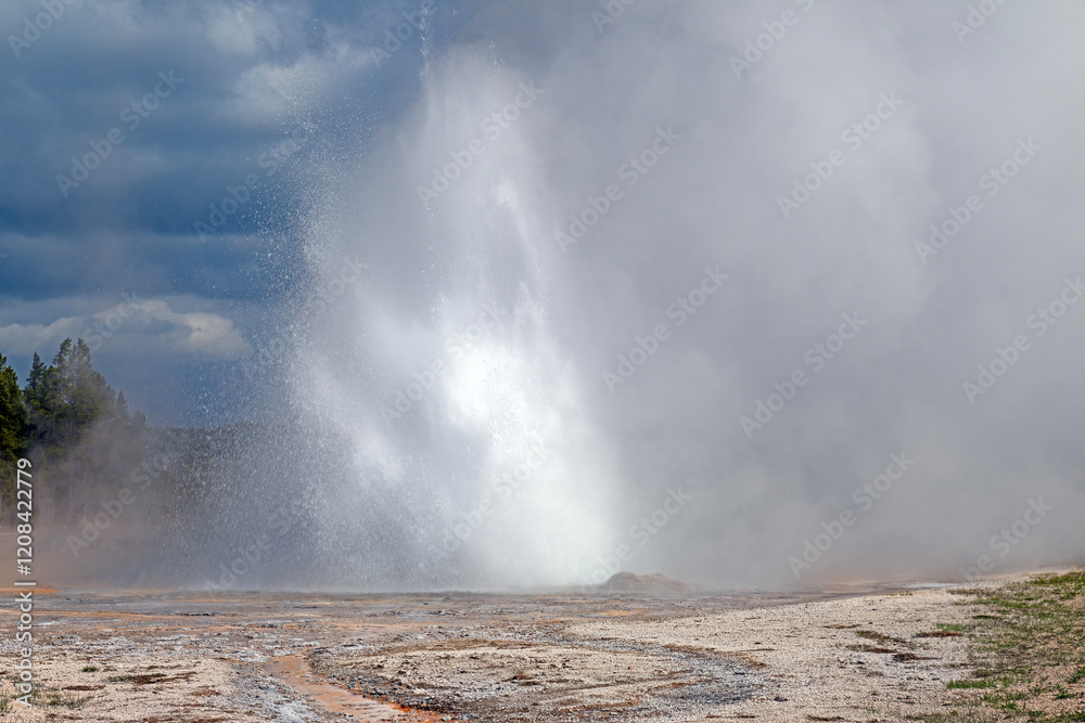 Daisy Geyser Erupting in the Morning