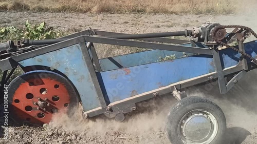 agricultural work on tractor. Mechanized potato processing. potato plowing. Cultivation of agricultural crops of mechanized crops. Digging up potatoes crop. Potato digger in action