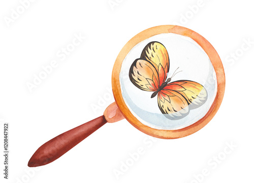 Watercolor illustration of a beautiful butterfly under a vintage magnifying glass. Observation of nature and insects