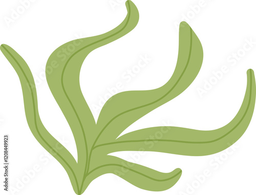 Ocean Algae Illustration in hand drawn style