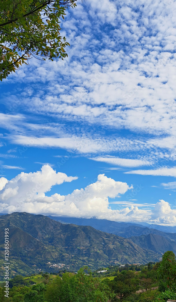 Great landscape full of nature and vegetation Great landscape full of nature and vegetation