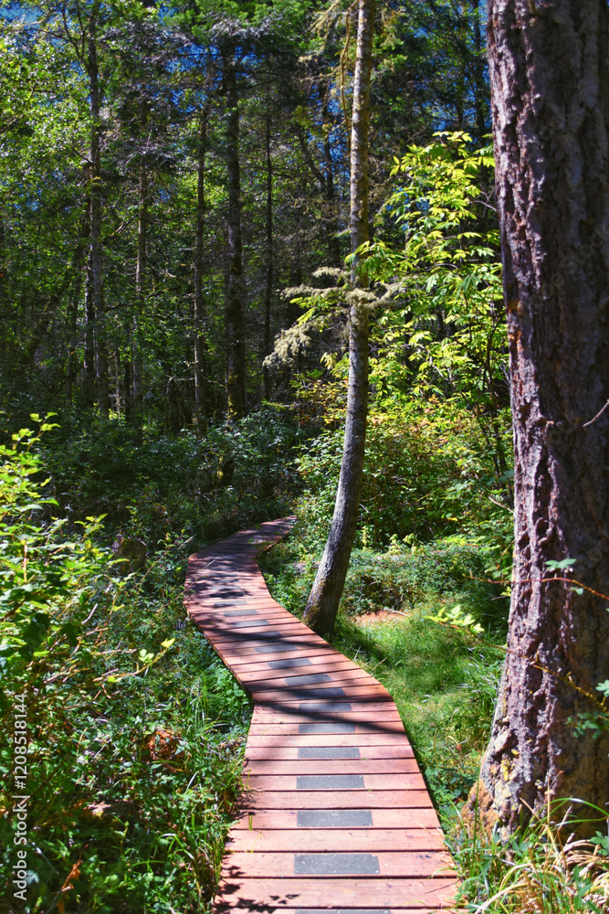 Shark Reef Sanctuary boardwalk hiking trail views Lopez Island, San Juan Islands summer 2024, Washington, United States.