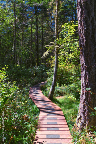 Obraz na płótnie Shark Reef Sanctuary boardwalk hiking trail views Lopez Island, San Juan Islands summer 2024, Washington, United States. w salonie