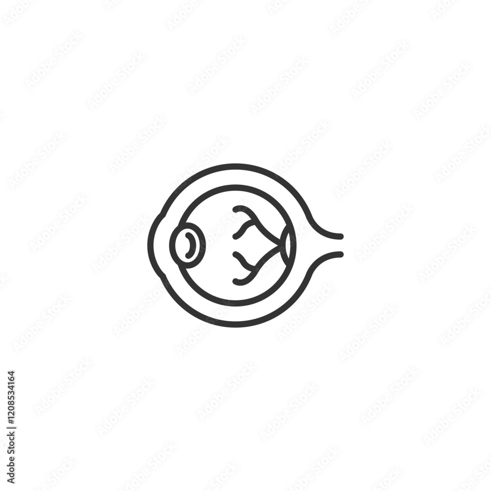 Simple line art of human eye anatomy with retina and optic nerve