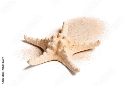 Starfish and sea sand isola...