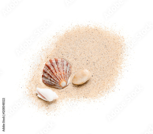 Seashells, pebble and sand ...