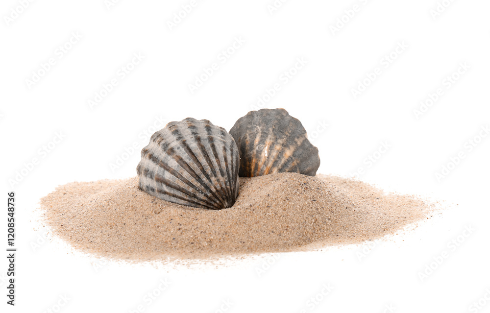Heap of sand with seashells isolated on white background Heap of sand with seashells isolated on white background