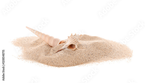 Heap of sand with seashells...