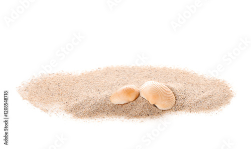 Sand with seashells on whit...