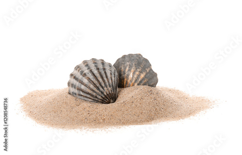 Heap of sand with seashells...