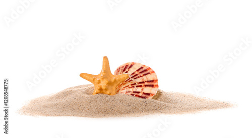 Heap of sand with starfish ...