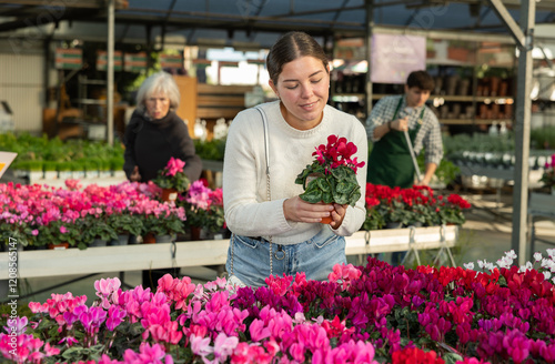 Young woman customer chooses young houseplant in store, examine leaves and shoots of cyclamen. Freelance florist buys potted flowers to create green area in apartment photo