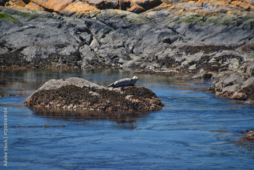 Shark Reef Sanctuary coastal ocean views Lopez Island, San Juan Islands summer 2024, Washington, United States.
