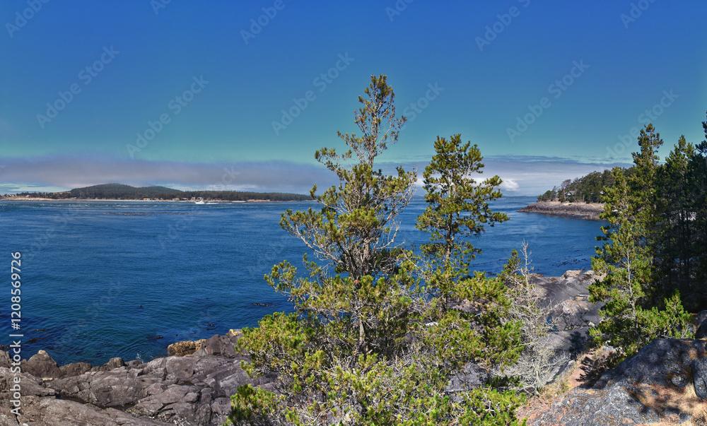 Shark Reef Sanctuary coastal ocean views Lopez Island, San Juan Islands summer 2024, Washington, United States.