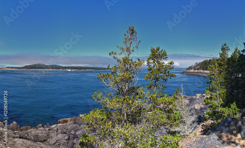 Obraz na płótnie Shark Reef Sanctuary coastal ocean views Lopez Island, San Juan Islands summer 2024, Washington, United States. w salonie