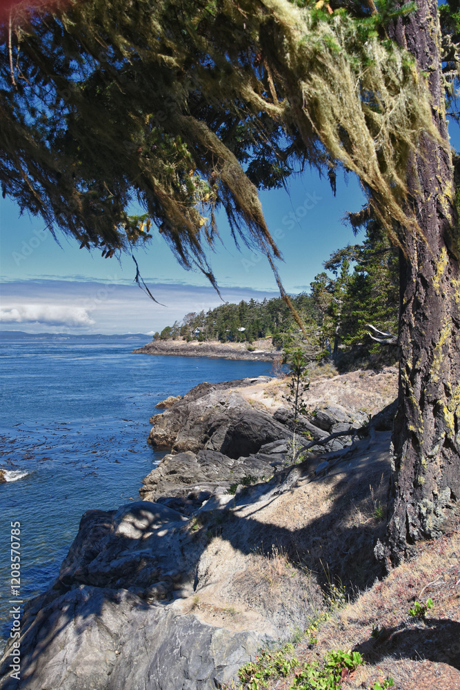 Shark Reef Sanctuary coastal ocean views Lopez Island, San Juan Islands summer 2024, Washington, United States.