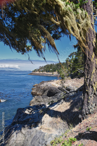 Obraz na płótnie Shark Reef Sanctuary coastal ocean views Lopez Island, San Juan Islands summer 2024, Washington, United States. w salonie