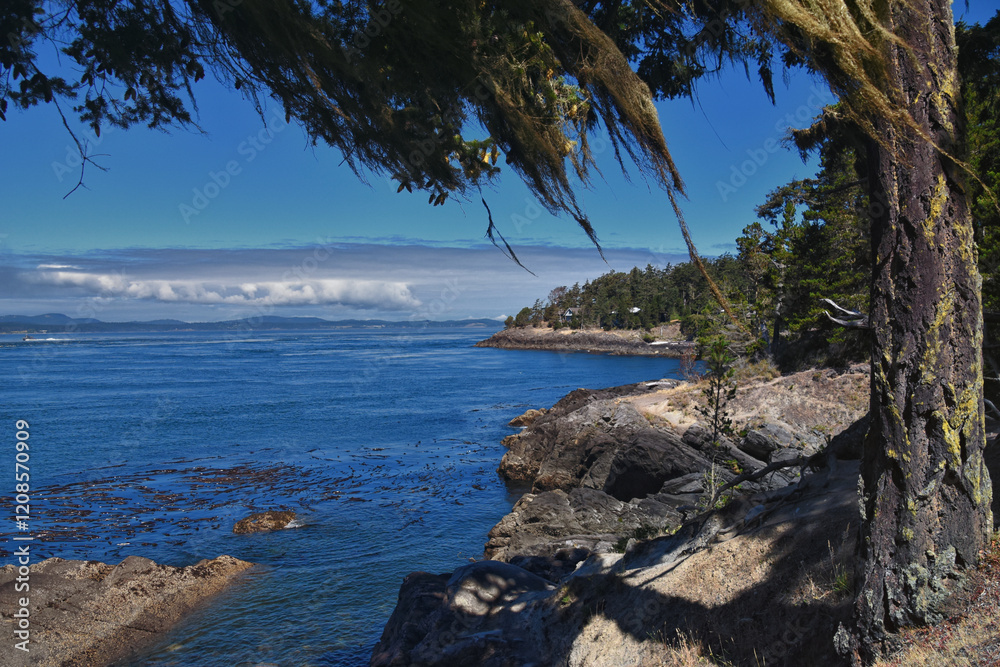 Shark Reef Sanctuary coastal ocean views Lopez Island, San Juan Islands summer 2024, Washington, United States.