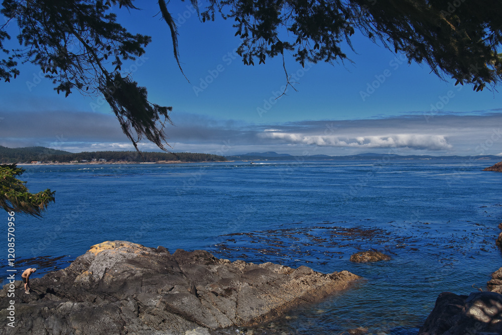 Shark Reef Sanctuary coastal ocean views Lopez Island, San Juan Islands summer 2024, Washington, United States.