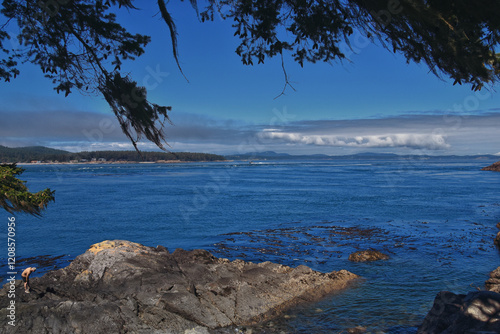 Obraz na płótnie Shark Reef Sanctuary coastal ocean views Lopez Island, San Juan Islands summer 2024, Washington, United States. w salonie