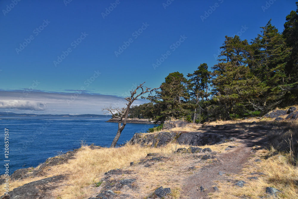 Shark Reef Sanctuary coastal ocean views Lopez Island, San Juan Islands summer 2024, Washington, United States.