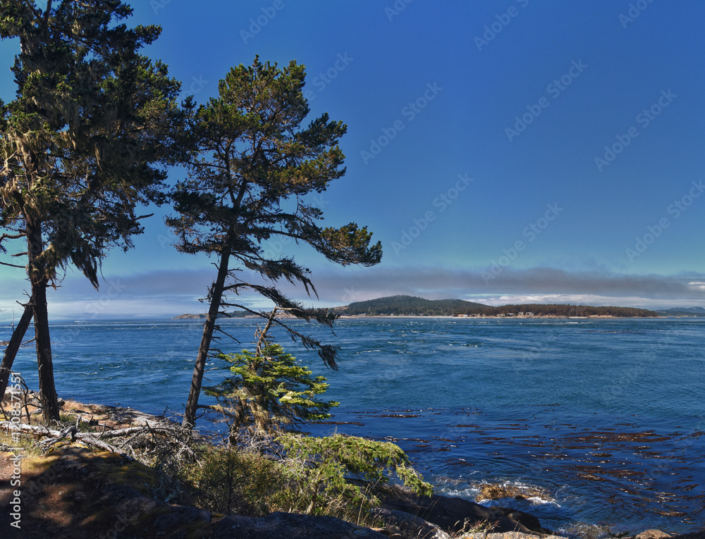 Shark Reef Sanctuary coastal ocean views Lopez Island, San Juan Islands summer 2024, Washington, United States.