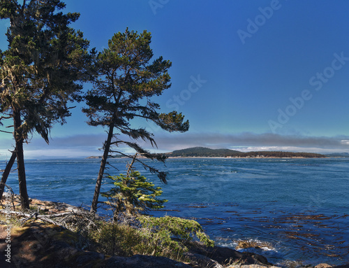 Obraz na płótnie Shark Reef Sanctuary coastal ocean views Lopez Island, San Juan Islands summer 2024, Washington, United States. w salonie